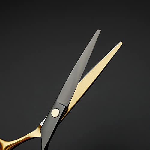 Ciseaux coiffure professionnels peignes et pinces ensemble de coupe cheveux 10 en 1