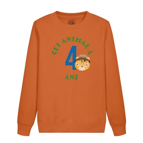 Sweatshirt enfant 4 ans safari pour anniversaire et célébrations