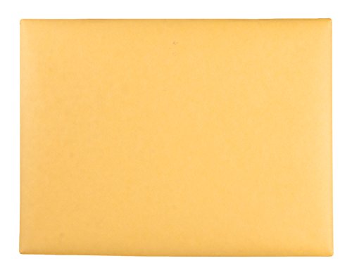 Quality Park Clasp Envelopes (Qua38090), Kraft, 9-X-12-Inch #TOP2
