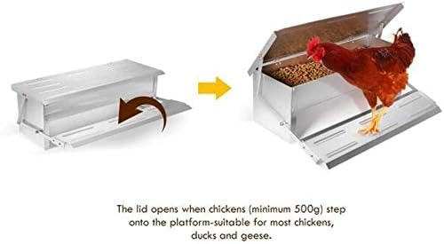 jxgzyy Automatic Treadle Poultry Feeder, 56x36x18.5CM Aluminium Treadle Self Opening Feeding Poultry Feeder, Automatic Chicken Duck Feeder,Rat Proof Duck Feeder, Weatherproof Auto Poultry Feeder UK