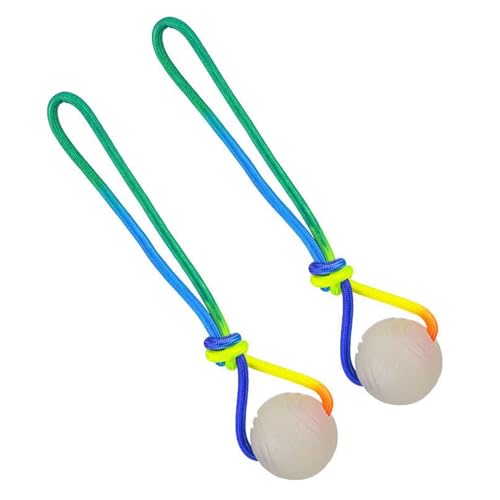 p {[ , 2ǧVїpłߊߋ, Xgbvt eތp{[, q^܂ł錢̑ދ̂AOł̗VсA_hƖLx