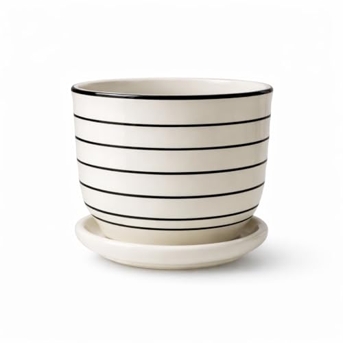 Image of Xtore Ceramic Striped Planter with Tray Figurine | Gloss Finish | for Home, Window & Office Decor - (Pack of 1, Planter ONLY)