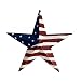 12" Patrotic OLD Glory American Flag Barn Star July of 4th Decoration