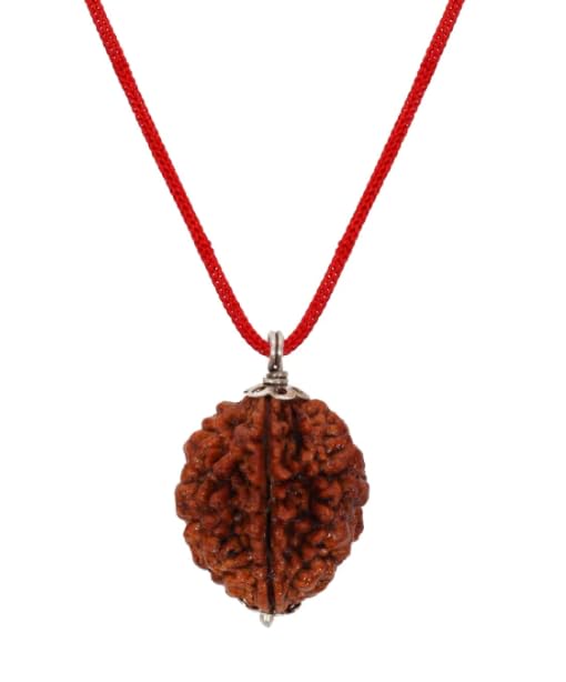 2 Face Rudraksha Brown Bead Natural Do Mukhi Rudraksha दो मुखी रुद्राक्ष 2 Mukhi Rudraksha Silver Pendant 2 मुखी रुद्राक्ष ओरिजिनल लैब सर्टिफाइड Two Face Rudraksha Original Nepal For Men