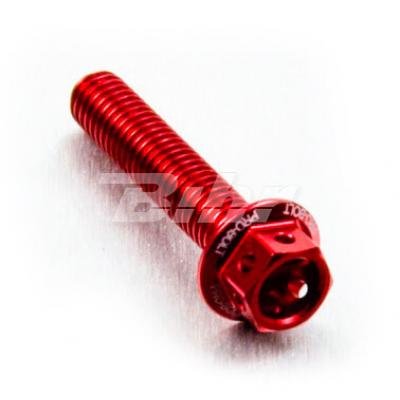 Pro-Bolt Lhx512Re Ergal Testa Forata Viti, M5 X 0.8Mm X 12Mm, Blu