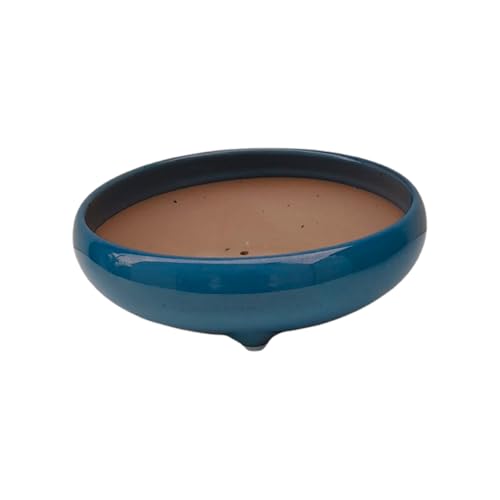 Genérico BIOMATA Maceta Bonsai Ceramica Redonda 19,3x19,3x6,4 cm | Diametro de Boca 17 cm | Macetero Bonsai Hecho en Japón | Tiesto con Agujero de Drenaje Color Azul Lívido | Árbol no Incluido