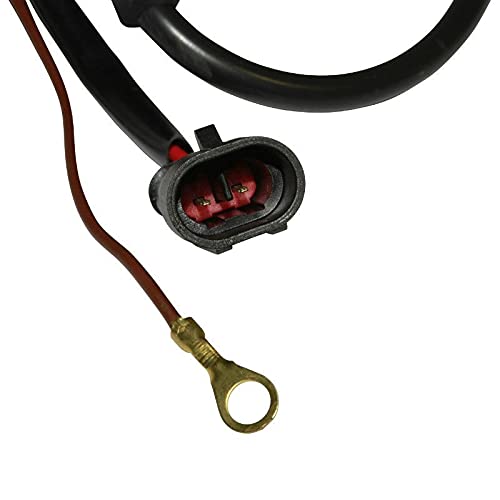 cyclingcolors Bobina accensione moto ciclomotore scooter compatibile con beta 50 rr