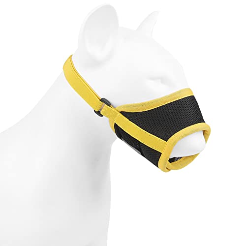 \Ȍ̌փK[hSȃg[jOJo[UIȌ̂߂̒ʋCXgbvXgbvތ̌K[hނ