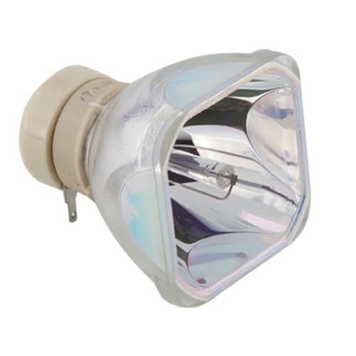 ZLZYPLEB LMP-E212 Bombilla de repuesto for VPL-EW225 VPL-EW235 VPL-EW245 VPL-EW255 VPL-EW275 VPL-EW295 VPL-EX225 VPL-EX235(Color:LMP-E212 CB)