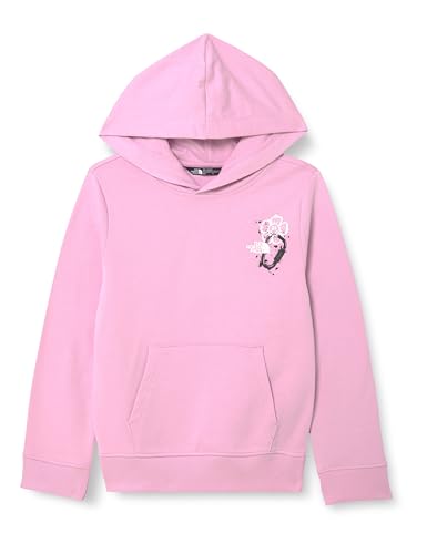Hoodie Sweatshirt Mixte The North Face G Graphic pour le Skateboard