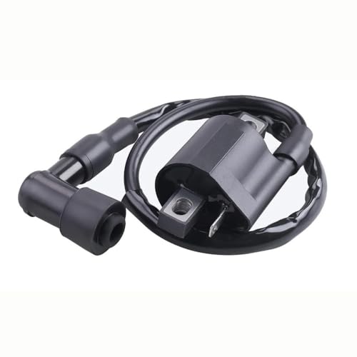 Bobina de encendido de motocicleta TW200 KX65 LT500R recambio eléctrico 4RP-82310-29-00