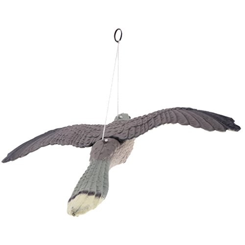 MERIGLARE Falcão Voador para Dissuasão de Pragas Jardim Lagoa Pássaro Gato Scarer Chamariz Decorativ