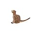 Papo -Hand-Painted - Figurine -Wild Animal Kingdom - Sitting Meerkat -50207 -Collectible - for Children - Suitable for Boys and Girls- from 3 Years Old