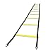 Speed Agility Training Ladder for Sports Training, Workout Exercise Equipment