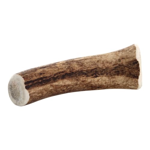 Chewies Kaugeweih für Hunde - ganze Stange - Abwurfstange vom Rothirsch - Hirschgeweih - natürlich unf mineralstoffreich, Größe M, 1 Stück (1er Pack)
