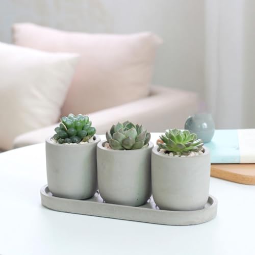 Pots de fleurs en ciment rond TUSUOD pot pour plantes d'intérieur