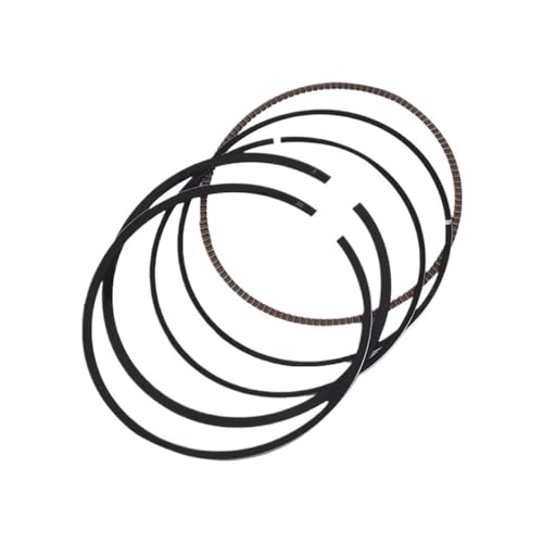 74mm oCNGWsXgOLbg TT-R250 TT-R 250 1993-2002 +100 I[o[TCY 1.00 +.00mm