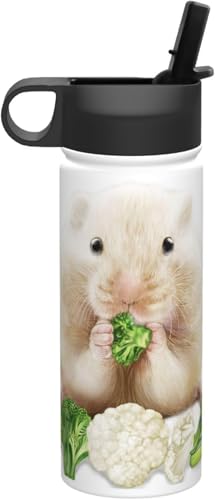 ubR[Hׂ郊A nX^[  ^fM ۉ ۗ X|[c{g lC XeX{g X|[cΉ RȂ 530ml j̎q ̎q  v[g