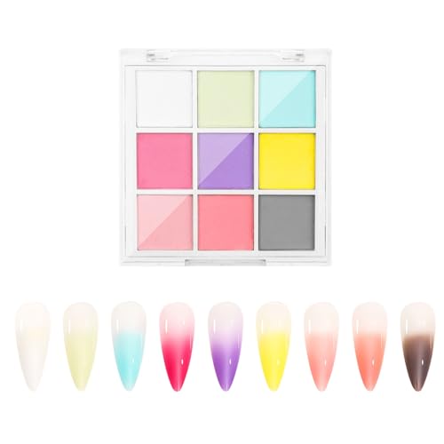 ミラーパウダー 固形 ネイルパウダー 9色 パレット ミラーネイル パウダー ネイルアート レジン ジェルネイル メタリックネイルパウダー チップ付き (A)