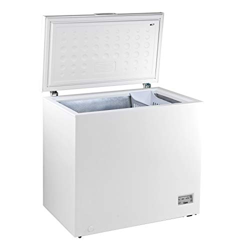 Preisvergleich Produktbild Gefriertruhe DGT 200D 200 L