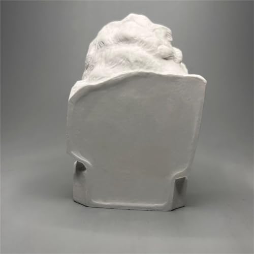 Albert Einstein Statue Albert Einstein Bust Collection Head Figurine Gypsum Figure Sculpture for Living Room Home Shelf Decor,Modern Home Decoration Sketch Practice DIY Art Model - Image 6