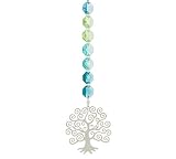 Tierra Zen CR39 Utopie en Verre