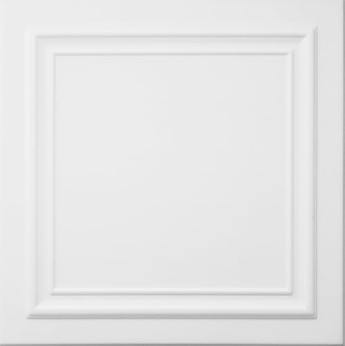 Deccart - 3D Wandpaneele 50x50 cm - Paneele Wand Wall Panels Deko Wandverkleidung Innen Panel Deckenverkleidung Decke Deckenpaneele Platten Styropor EPS-Polystyrol 0824 Weiß 20 Stück - 5 m