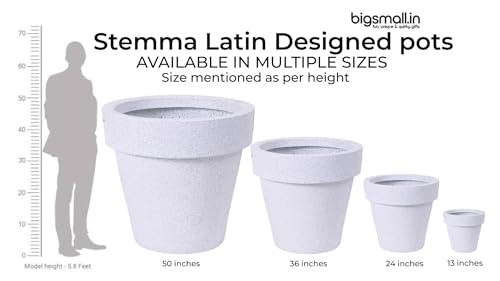 Image of Bigsmall Designed Plant Pots, Premium Durable Polymer Flower Pots for Indoor & Outdoor Plants - Lightweight, Stylish, and Weather-Resistant Garden Planters (Stemma-Grey Marble, 13 Inch)