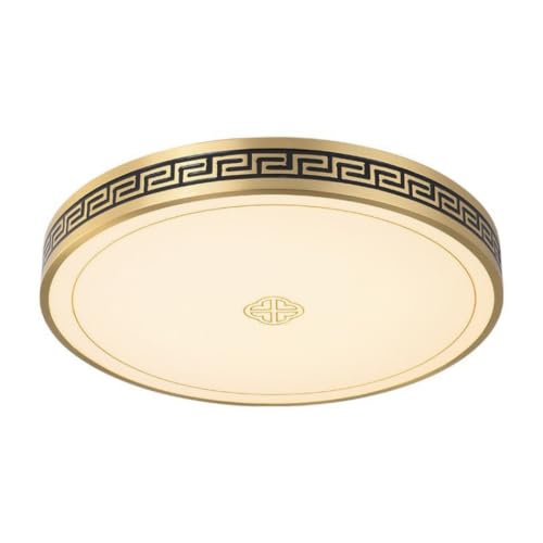 Lampe de plafond design en acrylique pour un bureau moderne