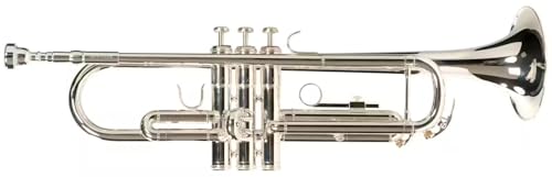 Trompette Sib WOODBRASS WTP400S pour apprendre la musique chez soi