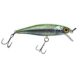  Illex Wobbler Tiny Fry 50 SP 2,7g schwebend RT Visible Roach