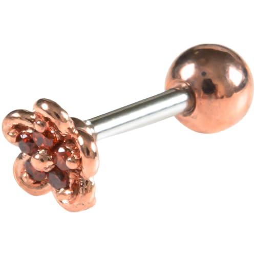 ({fBX^C) sAX 킢 16g  {fBsAX  t[ p gKX wbNX T[WJXeX AM[Ή Ԃ WG (sNS[h×IWbh)