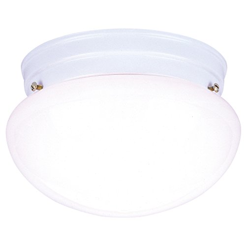 Westinghouse 66699, One Light White