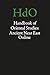 The Old Syriac Inscriptions of Edessa and Osrhoene: Texts, Translations and Commentary (HANDBOOK OF ORIENTAL STUDIES/HANDBUCH DER ORIENTALISTIK, Band 42) - Drijvers, Han, Healey, John