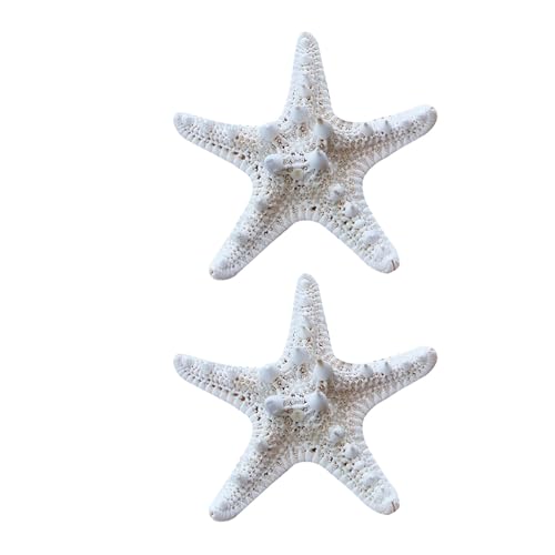 Holibanna 2 Piezas de Adornos Naturales de Estrella de Mar de Color Claro para Decoración Marinera, Proyecto Artesanal y Fiesta Temática Oceánica Varios Estilos