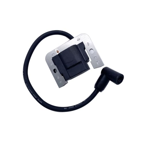 Bobine d'allumage pour entretenir le jardin avec un moteur CH730 2858402