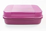 Mehl oder Zucker Tupperware Naschkätzchen 2,5 L brombeer Bellevue Vorratshaltung Vorrat Apollo