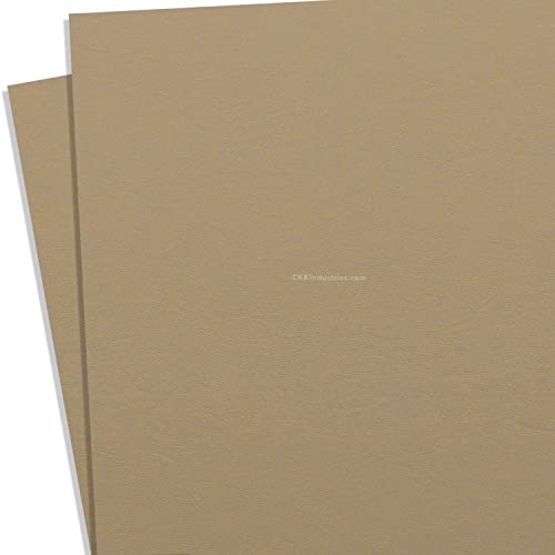KYDEX Thermoform Sheet - (P1 Texture) - (.060 Thickness) - (8in x 12in) - (Flat Dark Earth Fall) - (2 Sheets) - DIY Holster Making, Airsoft Armor, Cosplay Uniforms