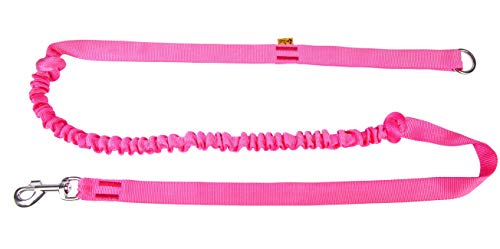 Dingo Guinzaglio Canicross con Ammortizzatore, 1 Maniglia, Leggero, Assorbimento della trazione, guinzaglio agganciabile per Corsa, Sport, Jogging, Poliammide, Fatto a Mano, Rosa (14694-2)