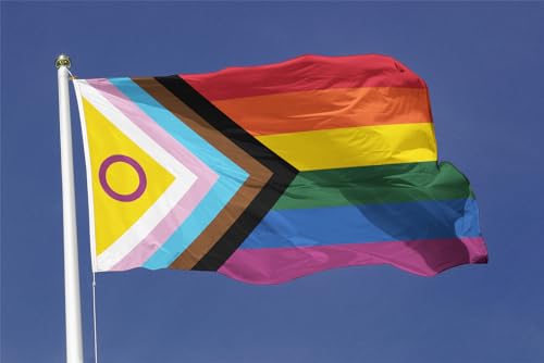 Bandera Intersex Progress Pride para mástil exterior con enganche rápido