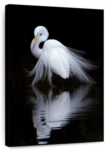 Elephant Stock - Egret Bird Watching Wall Art - Vertical Canvas Wall Art - Living Room Wall Decor - Photography Heron Canvas Art - Black And White Decor by Ben Li - 16