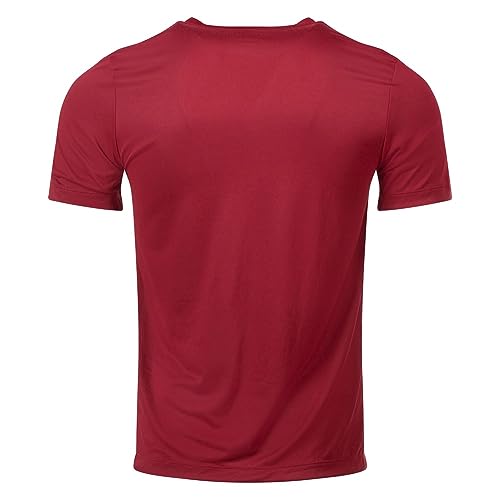 Image of Nike Mens Team Legend Short Sleeve Crew T-Shirt (as1, Alpha, x l, Regular, Regular, Crimson)