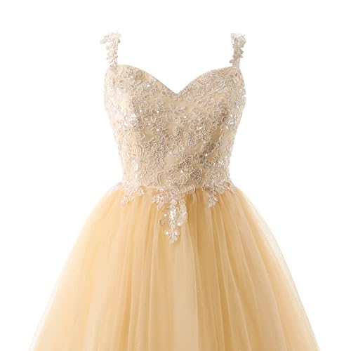 Women's Homecoming Dresses Short Spaghetti Straps Sparkly Lace Applique Short Prom Dresses 20244