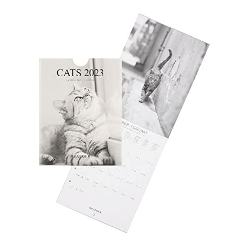 Draeger - Petit Calendrier Mural Chats Noir Et Blanc - 2023, 79007994