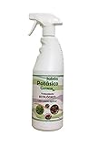 CASTALIA POTASICO Spray 750 ml, Estándar, Único