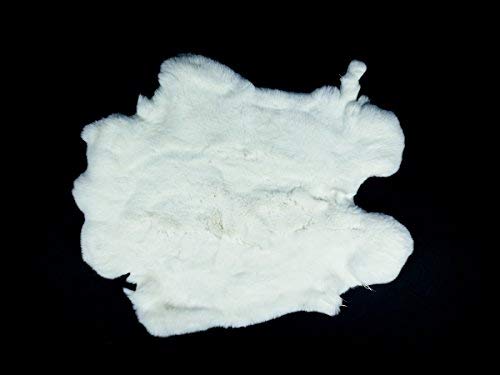 Real Rex Rabbit #1 White: Grade AA Pelt Skin Hide