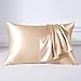 THXSILK 22 Momme Seide Kissenbezug - 100% Seide Kopfkissenbezug Sofakissenbezug - Anti milben Reißverschluss Seidenkissenbezug - Champagner 40 x 80 cm