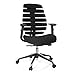 hjh OFFICE 714500 Profi Bürostuhl Ergo LINE II Stoff Schwarz Drehstuhl mit ergonomischer Rückenlehne & Lordosenstütze
