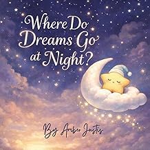 A Brief Summary Audible Title Where Do Dreams Go at Night? Detailed Review Curated Content Must Read