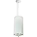 Nora Lighting NYLS-6C88CDDWW2-AC Sapphire Pendant Diffused Clear and White Flange and White